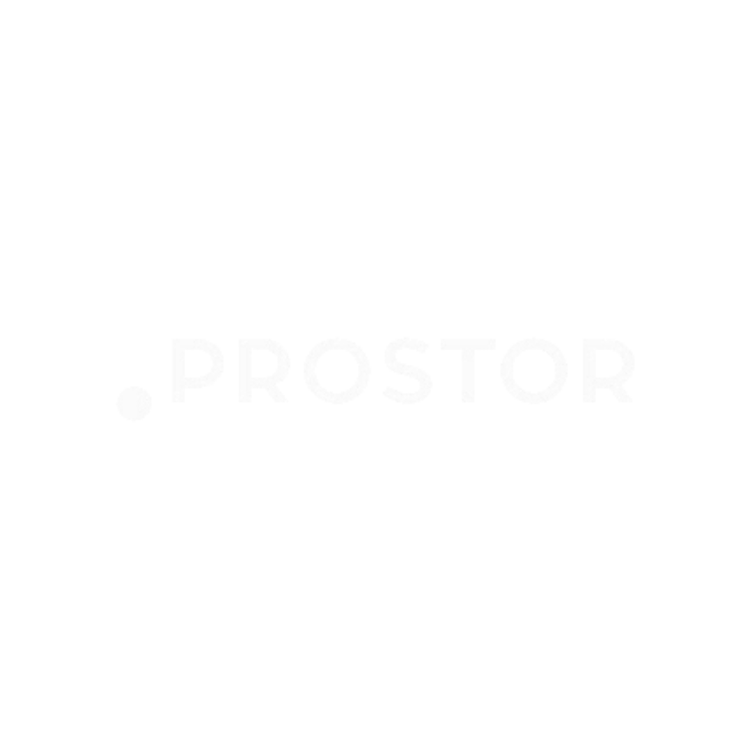 Prostor logo